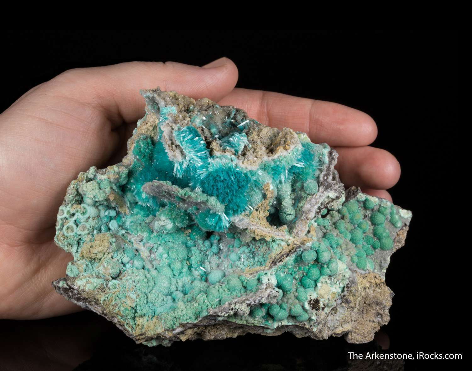 Aurichalcite - MUN16-19 - 79 mine - USA Mineral Specimen